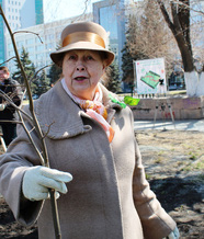 В высадке деревьев приняли участие известные челябинцы. Н.А.Капитонова.  Фото из архивов ЧОУНБ